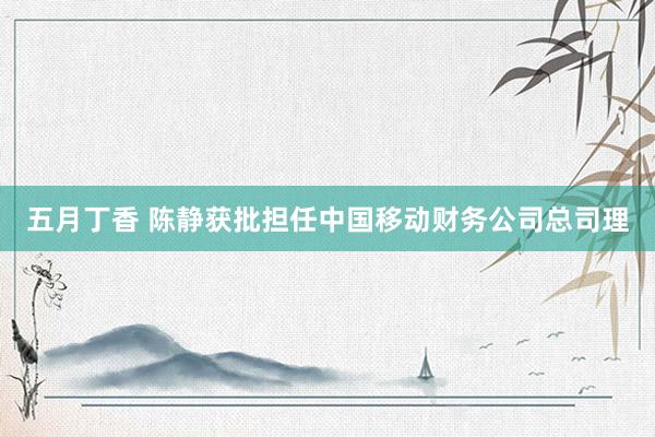 五月丁香 陈静获批担任中国移动财务公司总司理