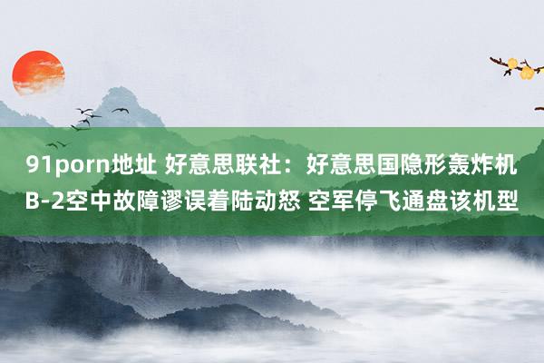 91porn地址 好意思联社：好意思国隐形轰炸机B-2空中故障谬误着陆动怒 空军停飞通盘该机型
