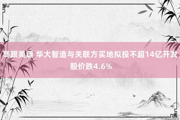 高跟美腿 华大智造与关联方买地拟投不超14亿开发 股价跌4.6%