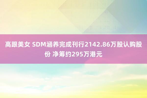 高跟美女 SDM涵养完成刊行2142.86万股认购股份 净筹约295万港元