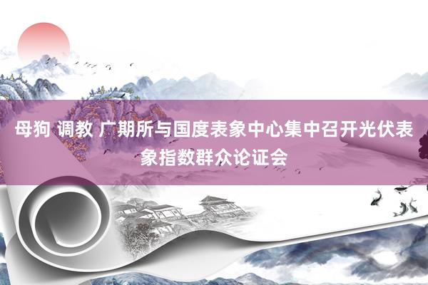 母狗 调教 广期所与国度表象中心集中召开光伏表象指数群众论证会