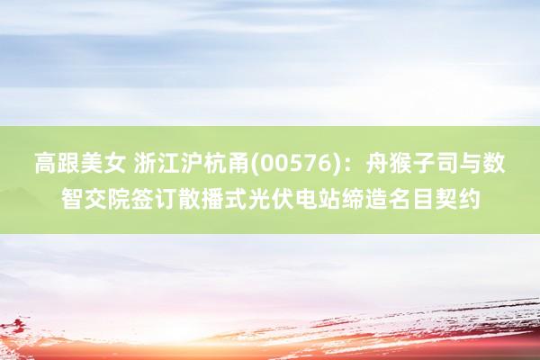 高跟美女 浙江沪杭甬(00576)：舟猴子司与数智交院签订散播式光伏电站缔造名目契约