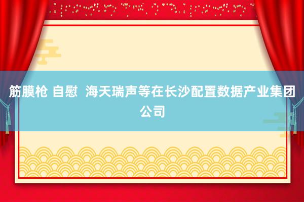 筋膜枪 自慰  海天瑞声等在长沙配置数据产业集团公司