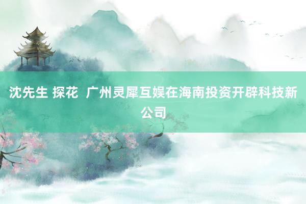 沈先生 探花  广州灵犀互娱在海南投资开辟科技新公司